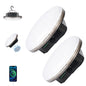 Transparent 5000LM 3 Color Light & Stepless Dimming 40W Camping Tent Light