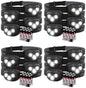 Energizer LED Headlamp PRO (2-Pack), IPX4 Water Resistant Head Light